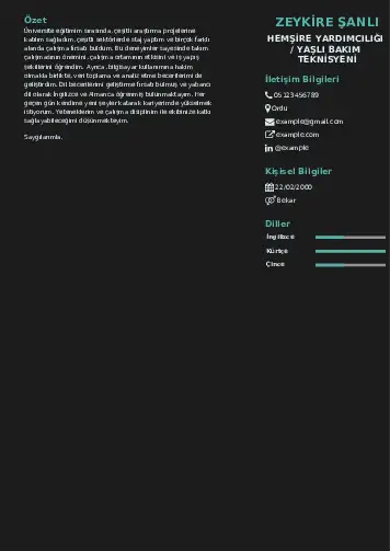 Hasta ve Yaşlı Bakım Elemanı Cv Örnekleri cv indir